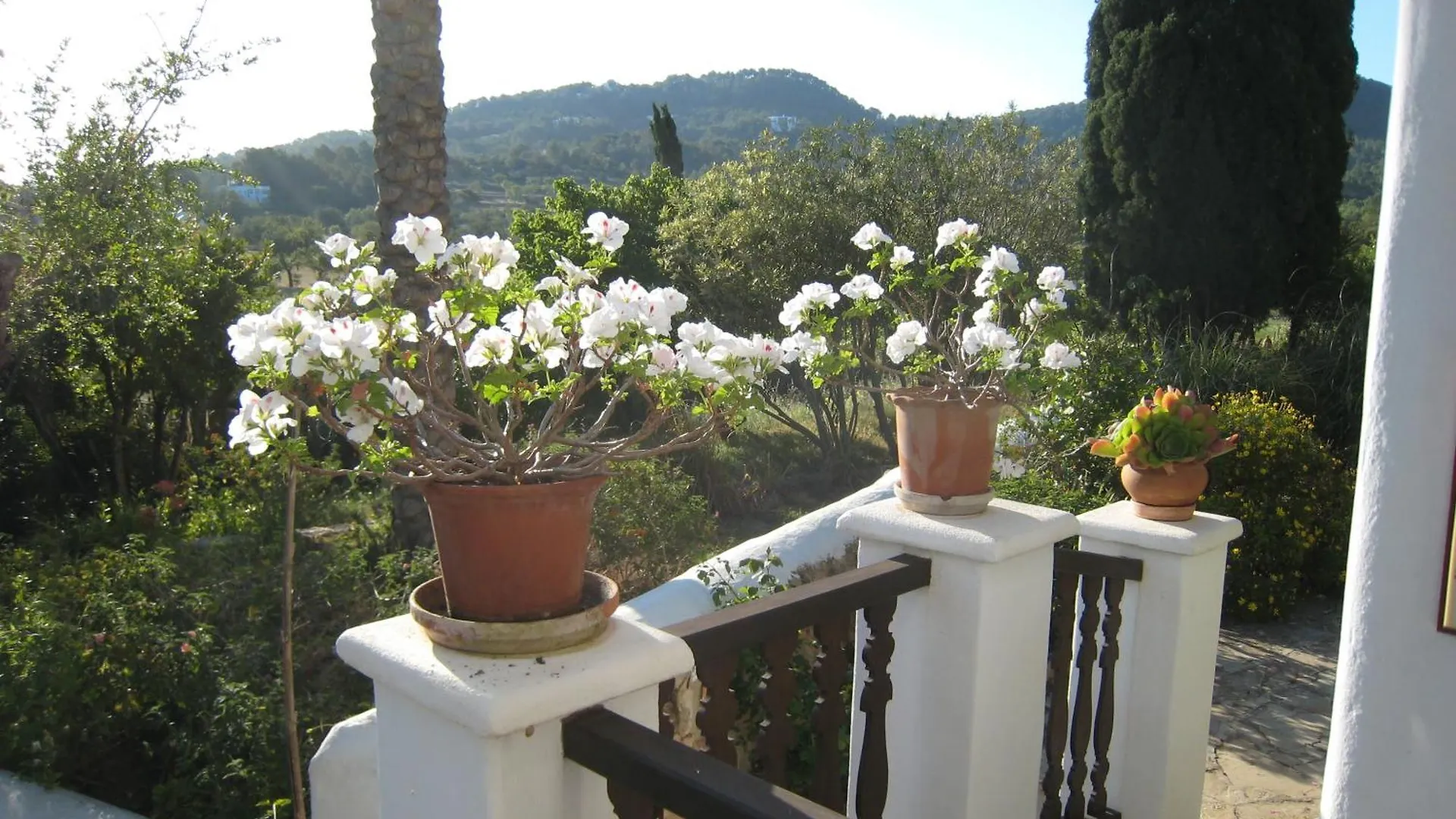 Encantadora Casa Ibicenca 산트 호셉 데 사 탈라이아 빌라