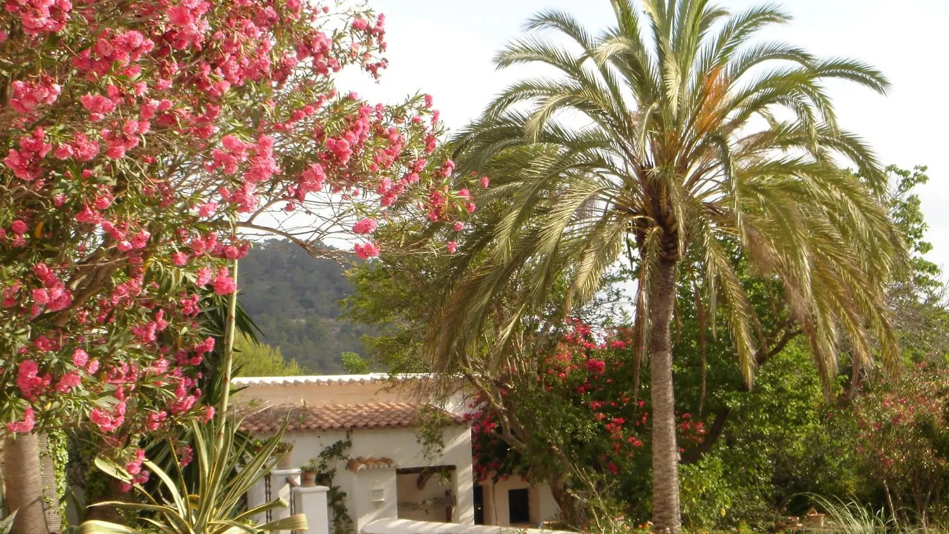 Encantadora Casa Ibicenca 산트 호셉 데 사 탈라이아
