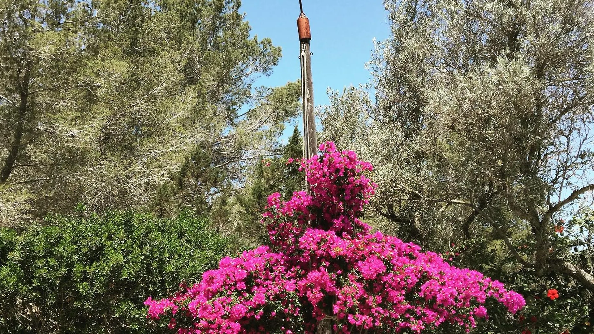 Encantadora Casa Ibicenca 산트 호셉 데 사 탈라이아 빌라