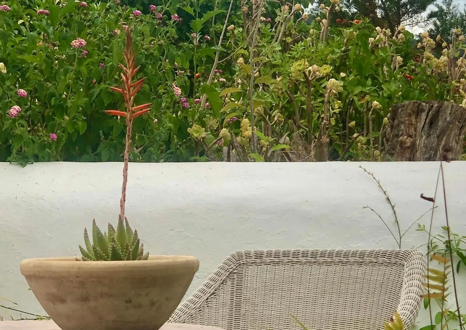 Encantadora Casa Ibicenca 산트 호셉 데 사 탈라이아 0*,